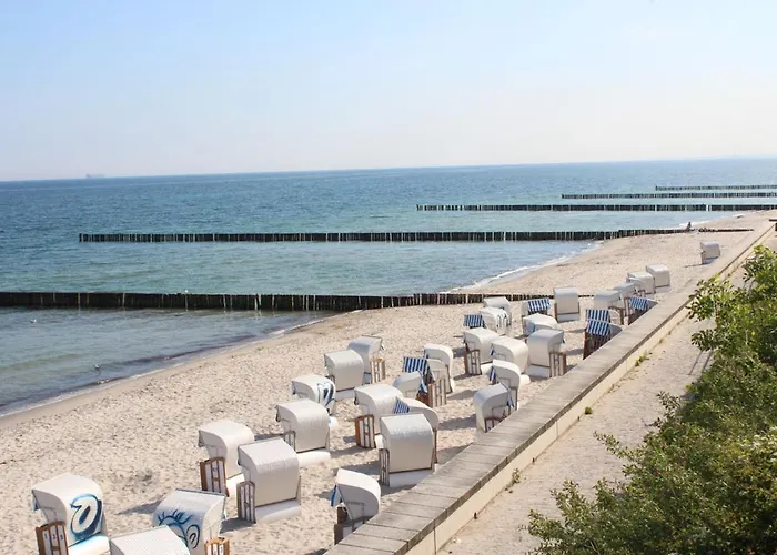 30 * أوستسيباد نينهاجن